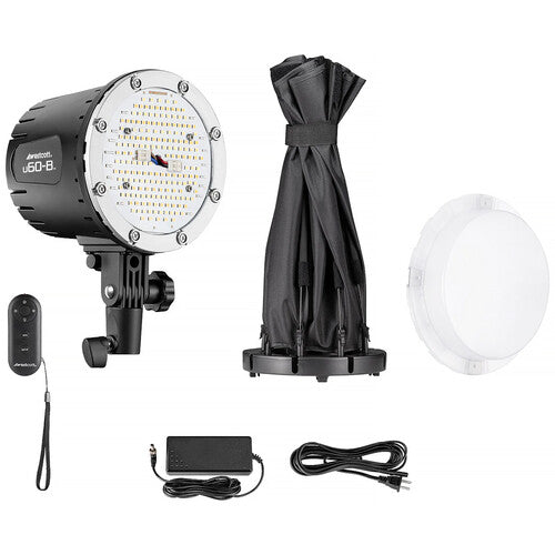 Westcott U60-B Bi-Color LED Monolight with 22" Octabox (1-Light Kit)